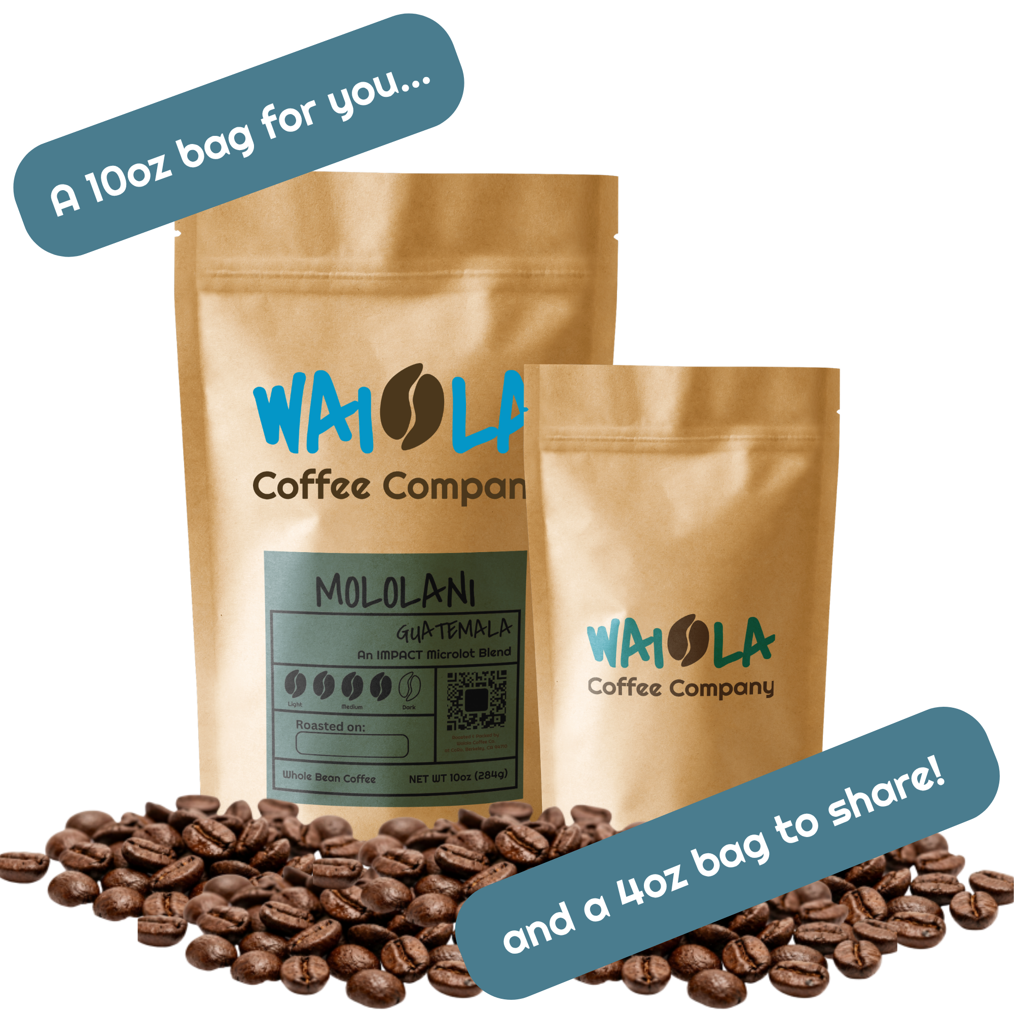 Share A Bag Bundle
